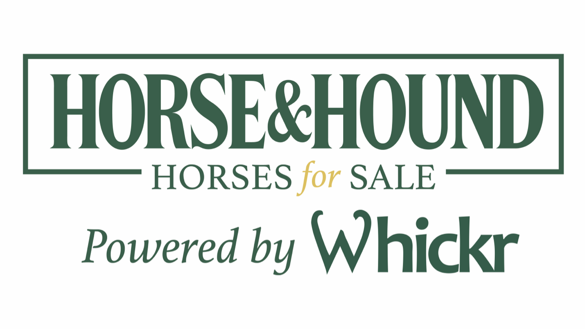 Horse & Hound: Horses For Sale - Powered By Whickr Logo